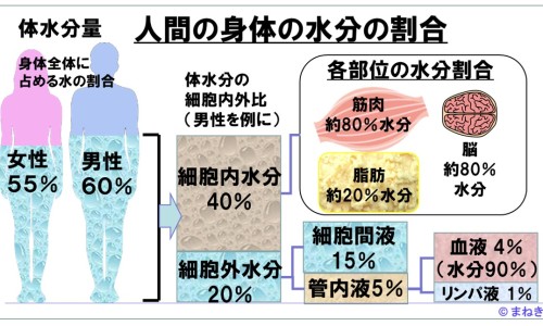 复方罗布麻颗粒价格-【复方罗布麻颗粒价格】复方罗布麻颗粒是处方药吗 - 同仁堂 复方罗布麻颗粒网